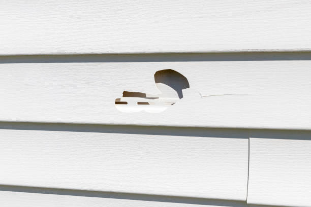 Affordable Siding Repair and Maintenance Services in Pompton Plains, NJ